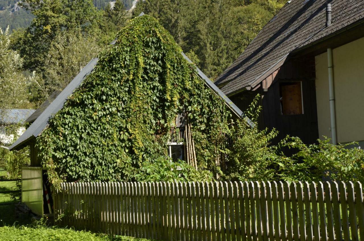 アドモント Haus Rosinaヴィラ エクステリア 写真
