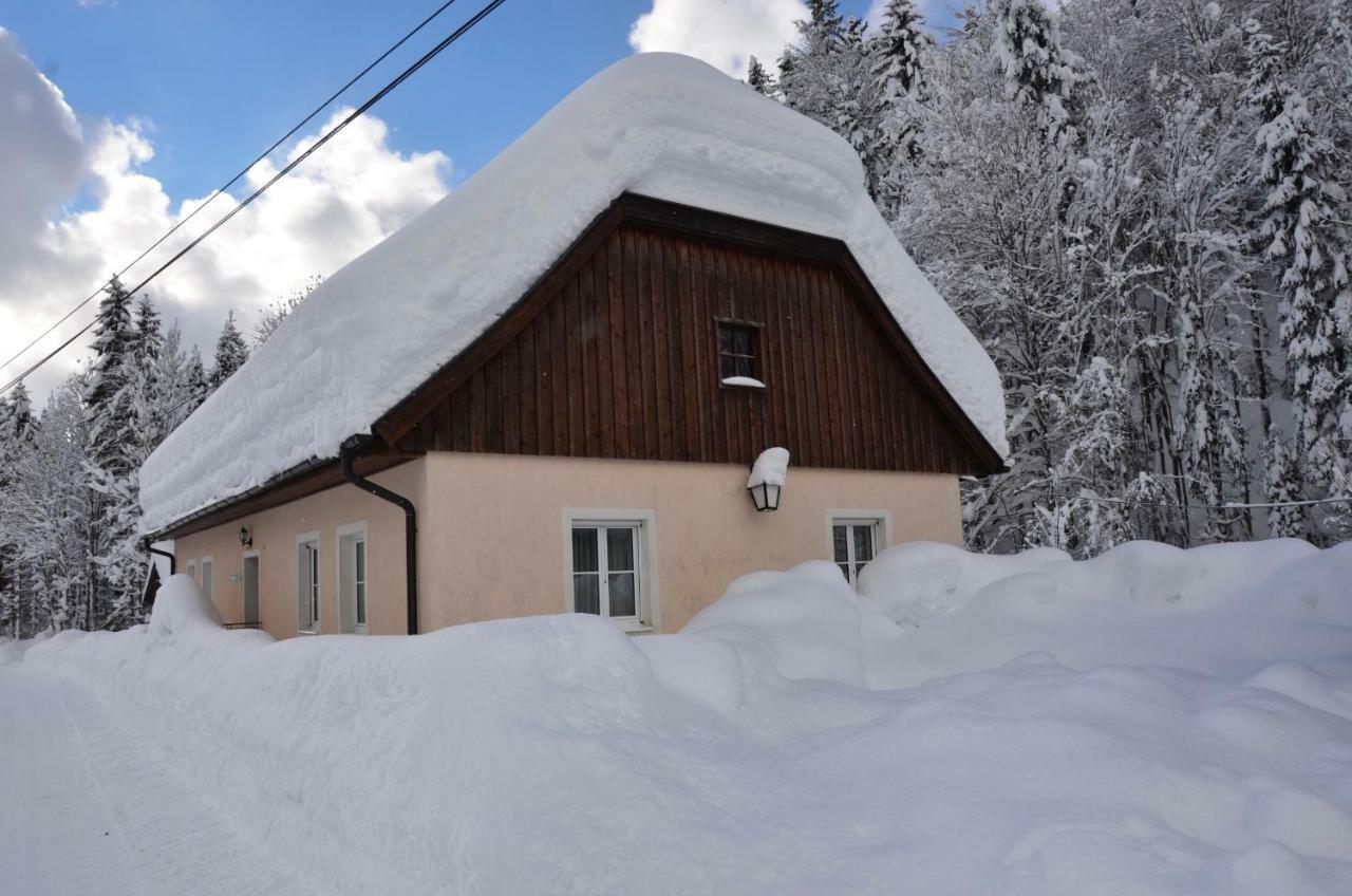 アドモント Haus Rosinaヴィラ エクステリア 写真